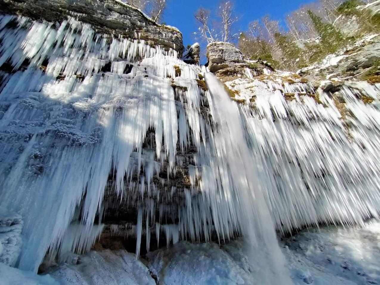 Zajcek Apartma Mojstrana Exteriér fotografie