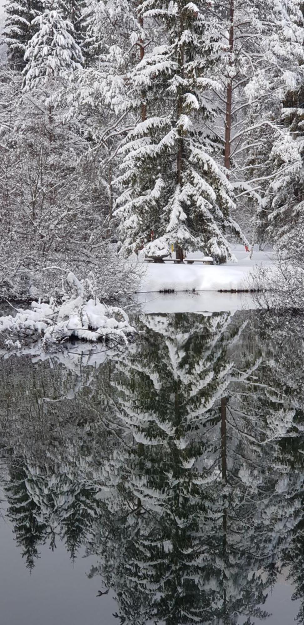 Zajcek Apartma Mojstrana Exteriér fotografie