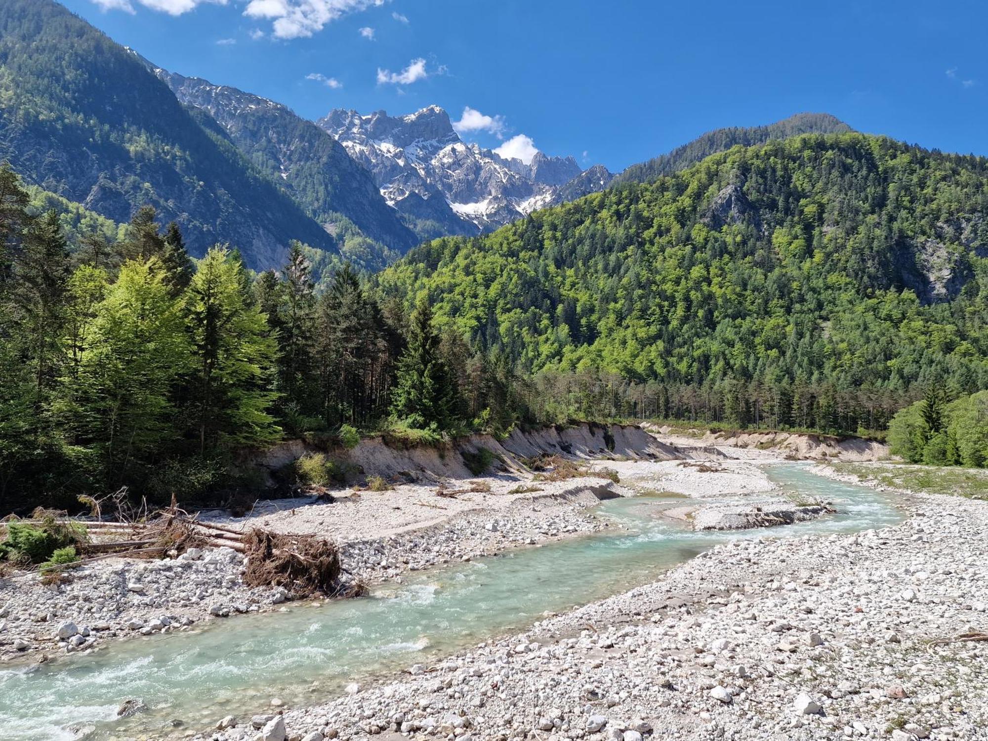 Zajcek Apartma Mojstrana Exteriér fotografie