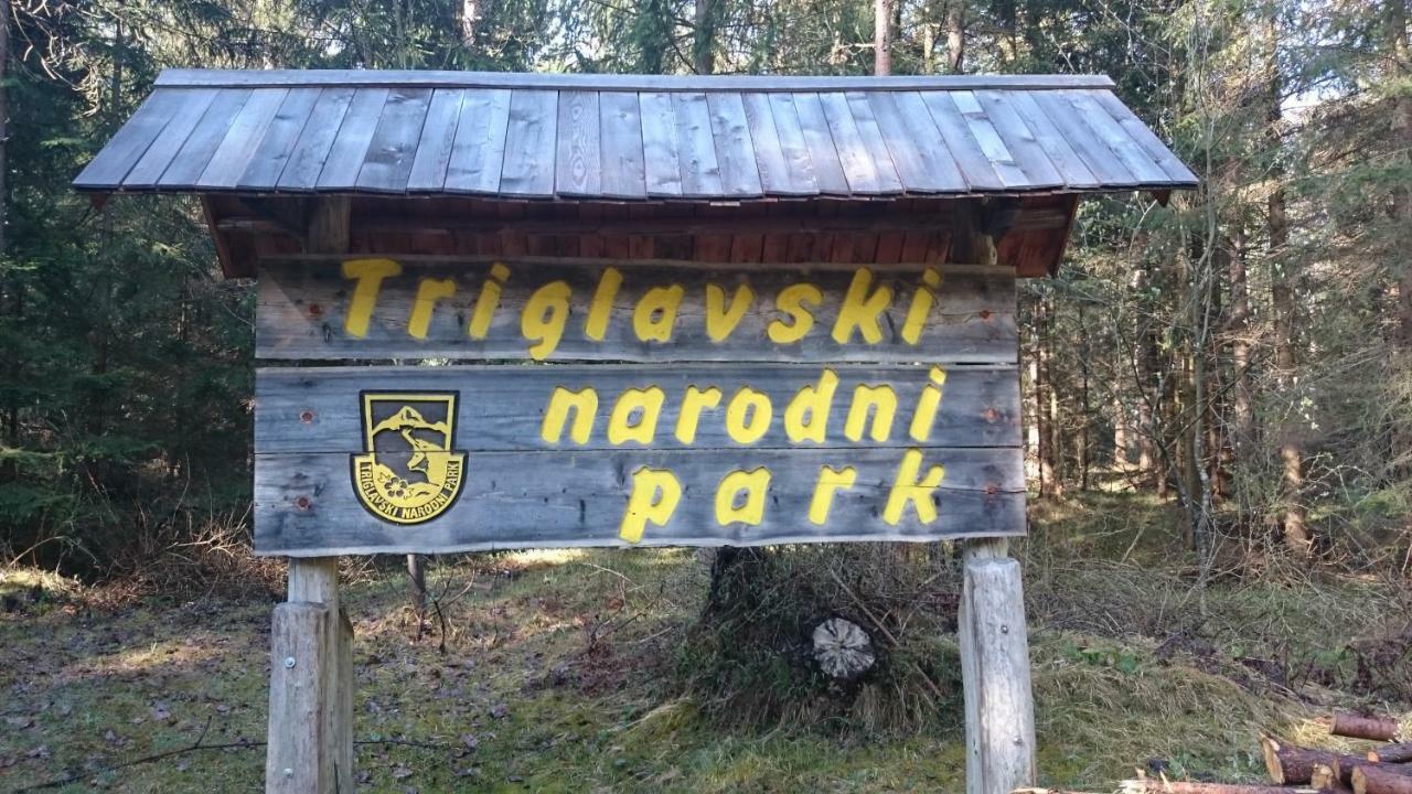 Zajcek Apartma Mojstrana Exteriér fotografie