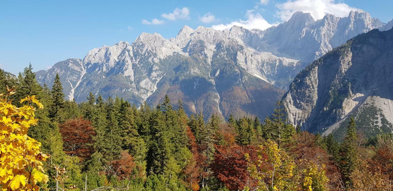 Zajcek Apartma Mojstrana Exteriér fotografie