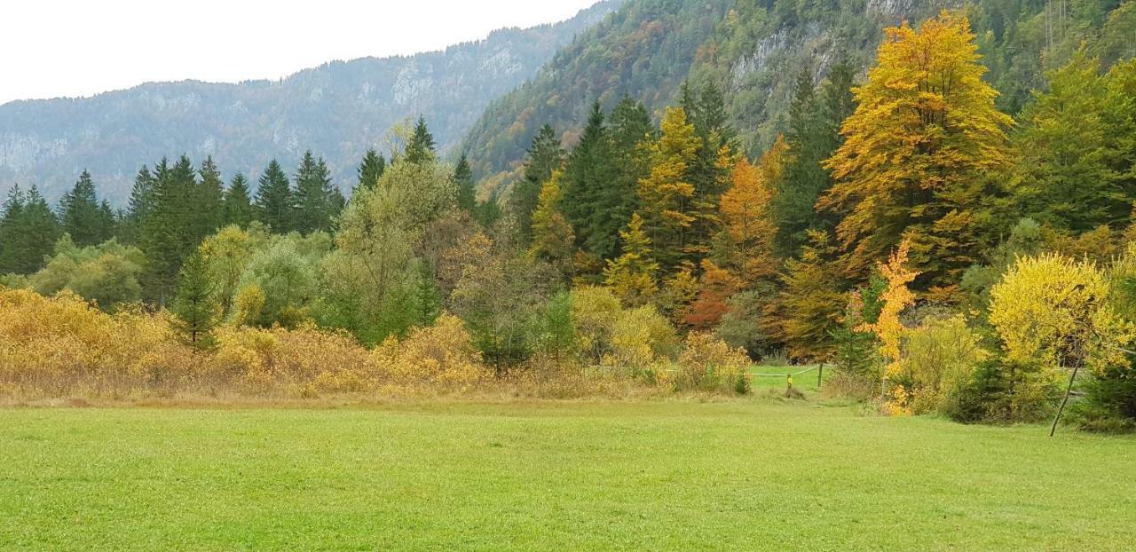 Zajcek Apartma Mojstrana Exteriér fotografie