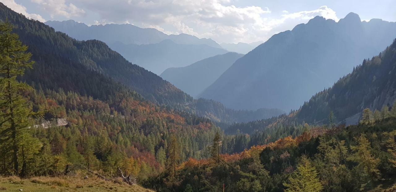 Zajcek Apartma Mojstrana Exteriér fotografie