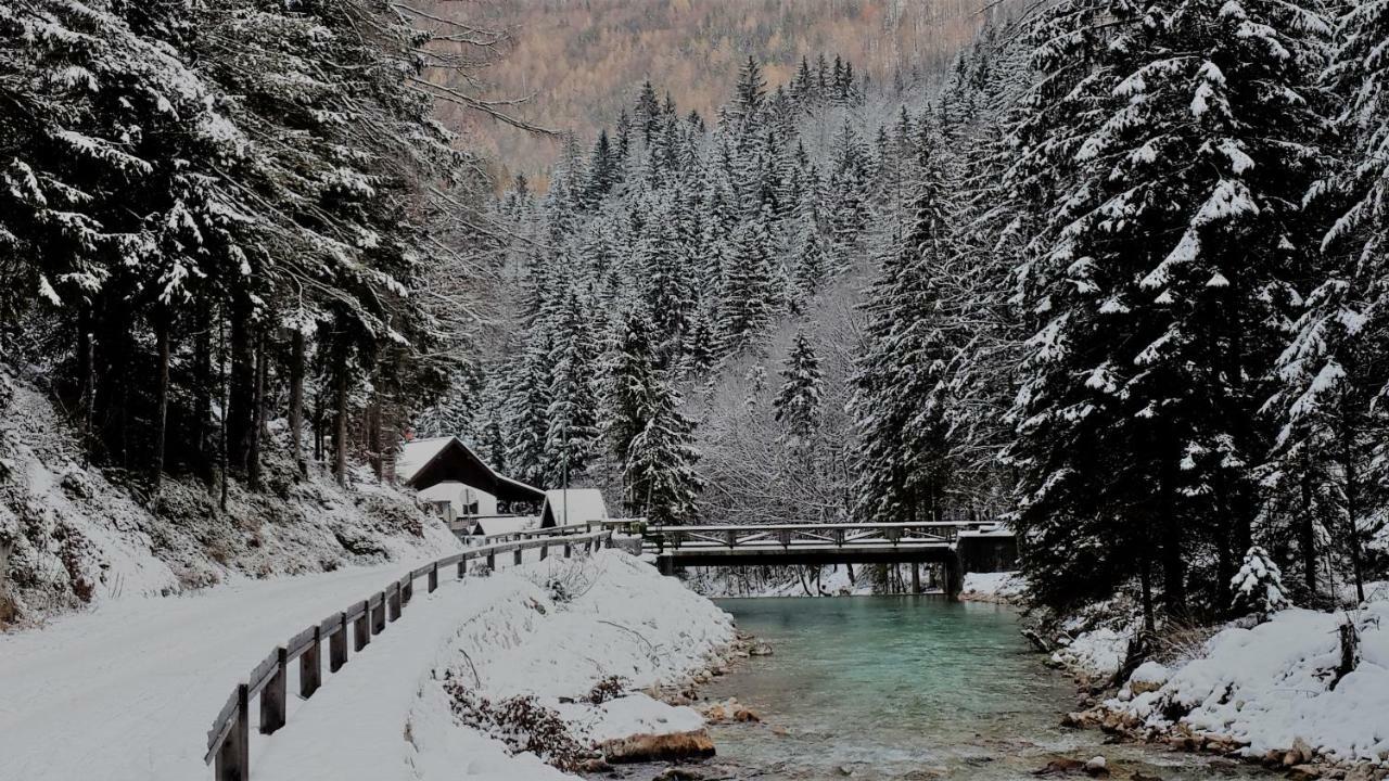 Zajcek Apartma Mojstrana Exteriér fotografie