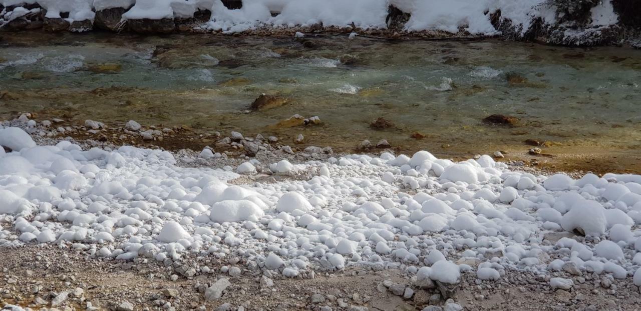 Zajcek Apartma Mojstrana Exteriér fotografie