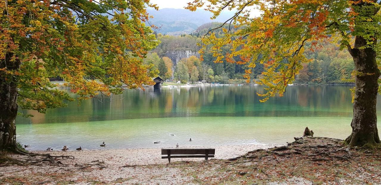 Zajcek Apartma Mojstrana Exteriér fotografie