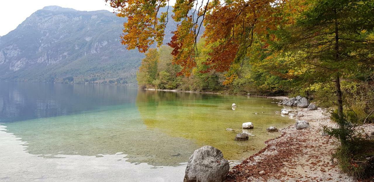 Zajcek Apartma Mojstrana Exteriér fotografie