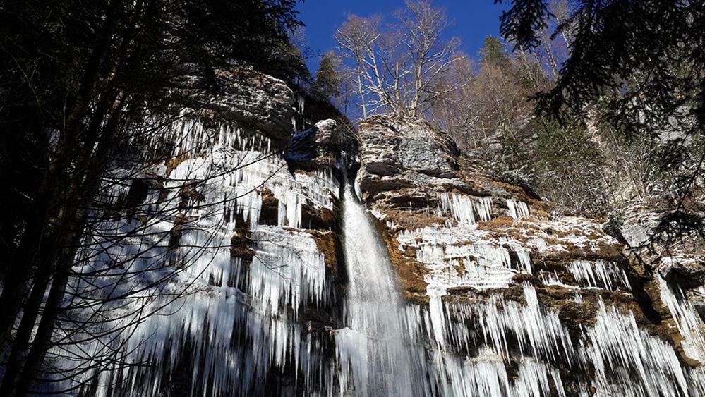 Zajcek Apartma Mojstrana Exteriér fotografie