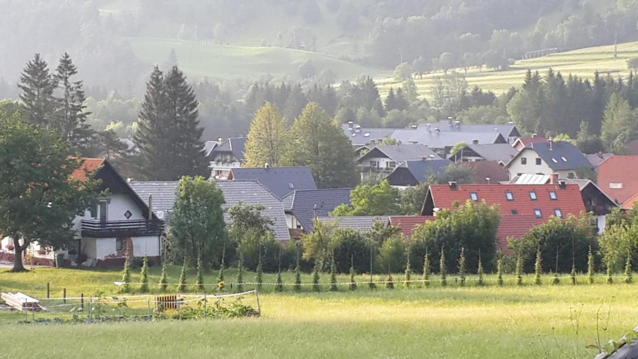 Zajcek Apartma Mojstrana Exteriér fotografie