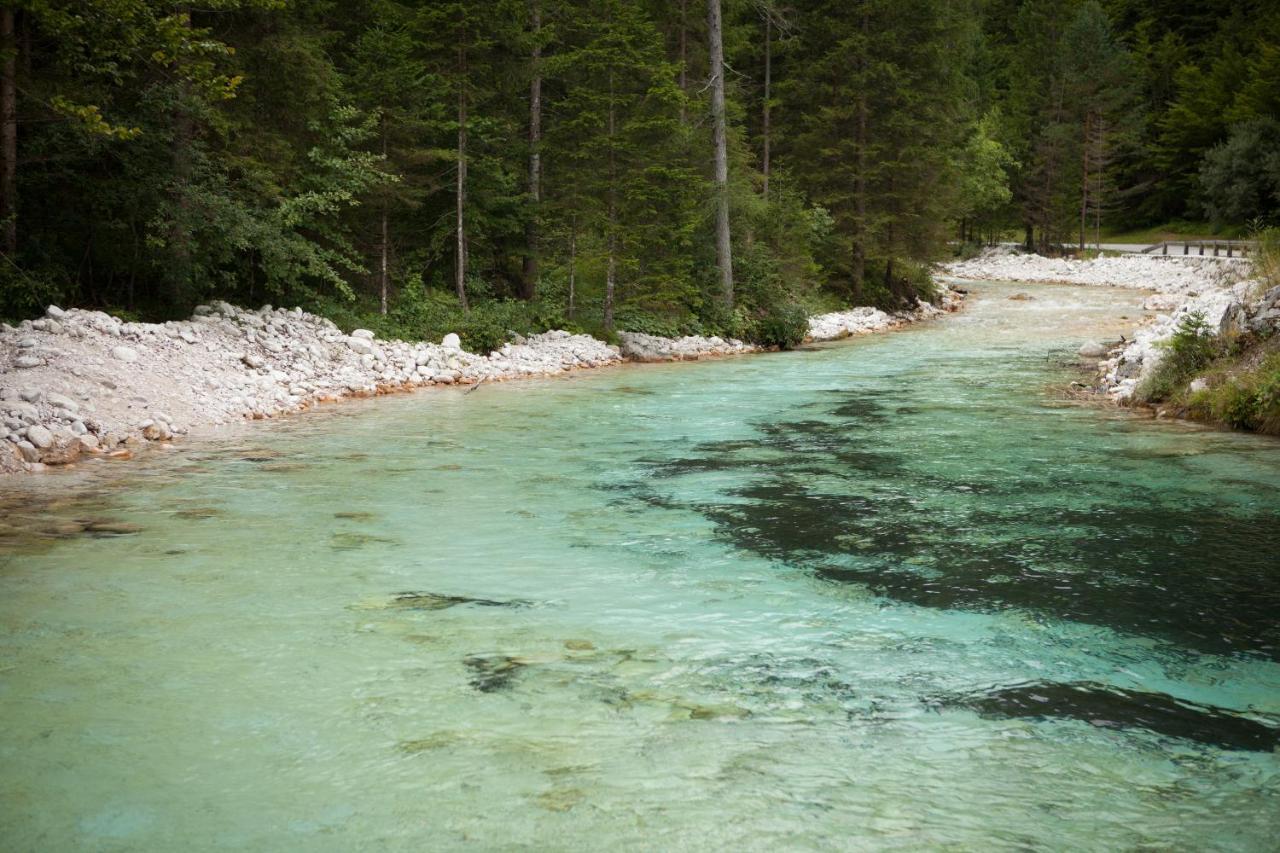 Zajcek Apartma Mojstrana Exteriér fotografie