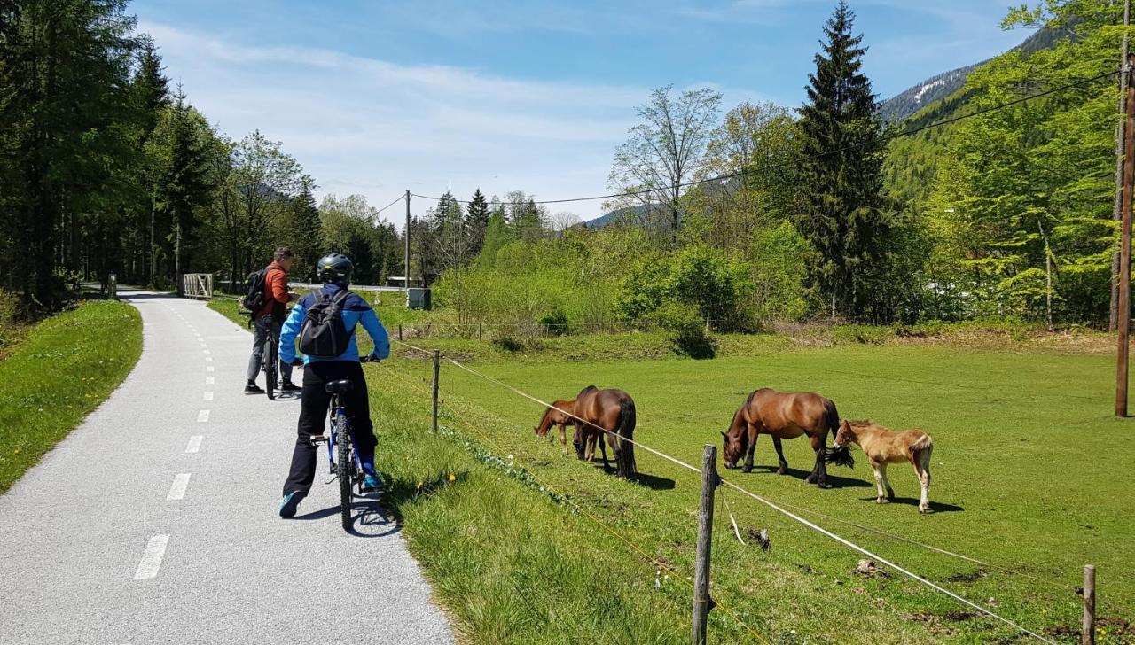 Zajcek Apartma Mojstrana Exteriér fotografie